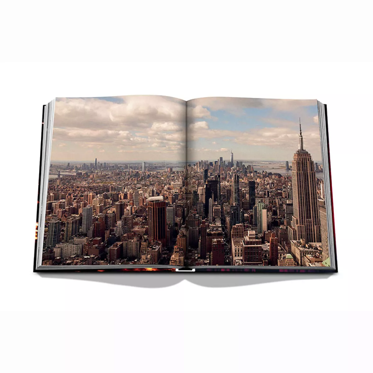 Assouline 9781649802309 Multi