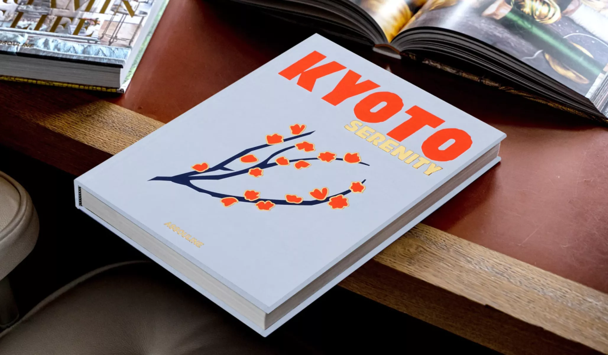 Assouline 9781649803528 Multi