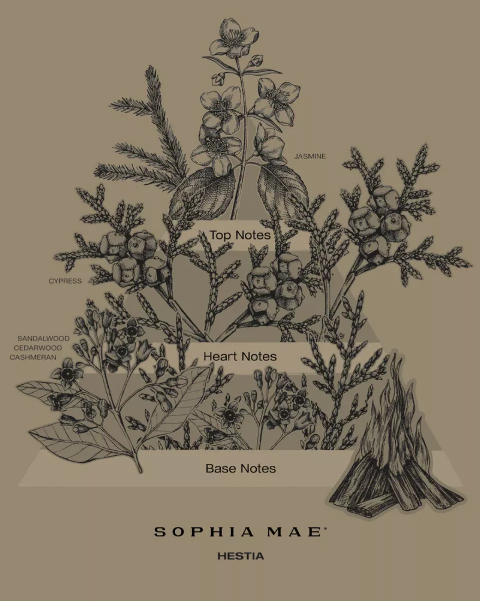 Sophia Mae SM1-HASCL-40 Multi