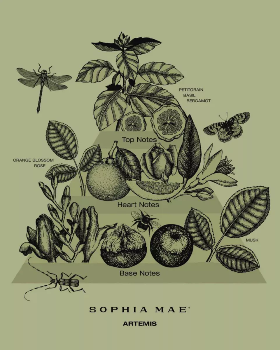 Sophia Mae SM1-SCMS-19 Multi