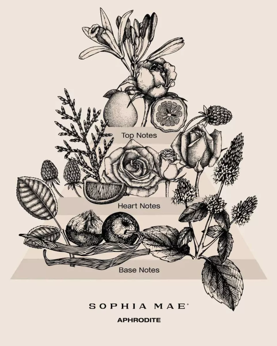 Sophia Mae SM1-SCMS-19 Multi