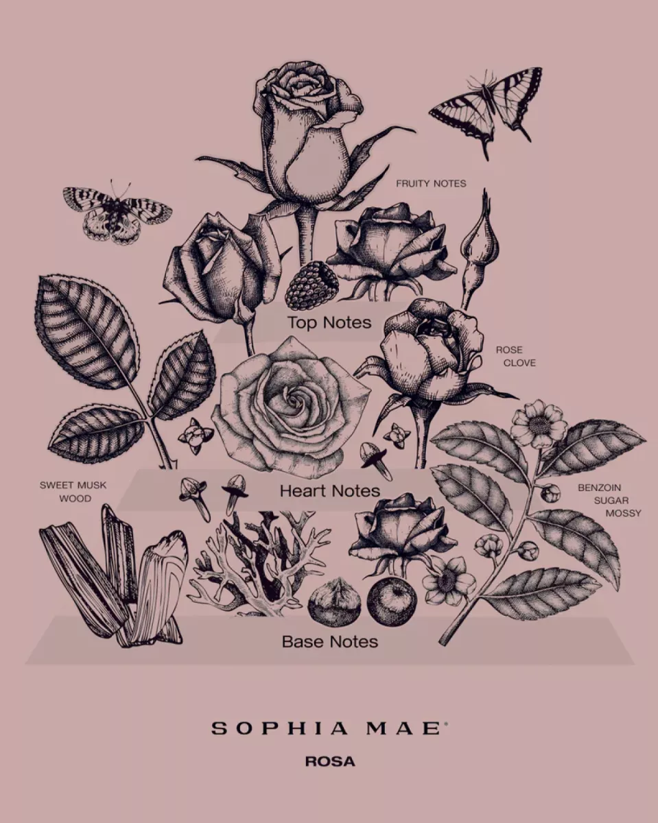 Sophia Mae SM1-SCMS-19 Multi