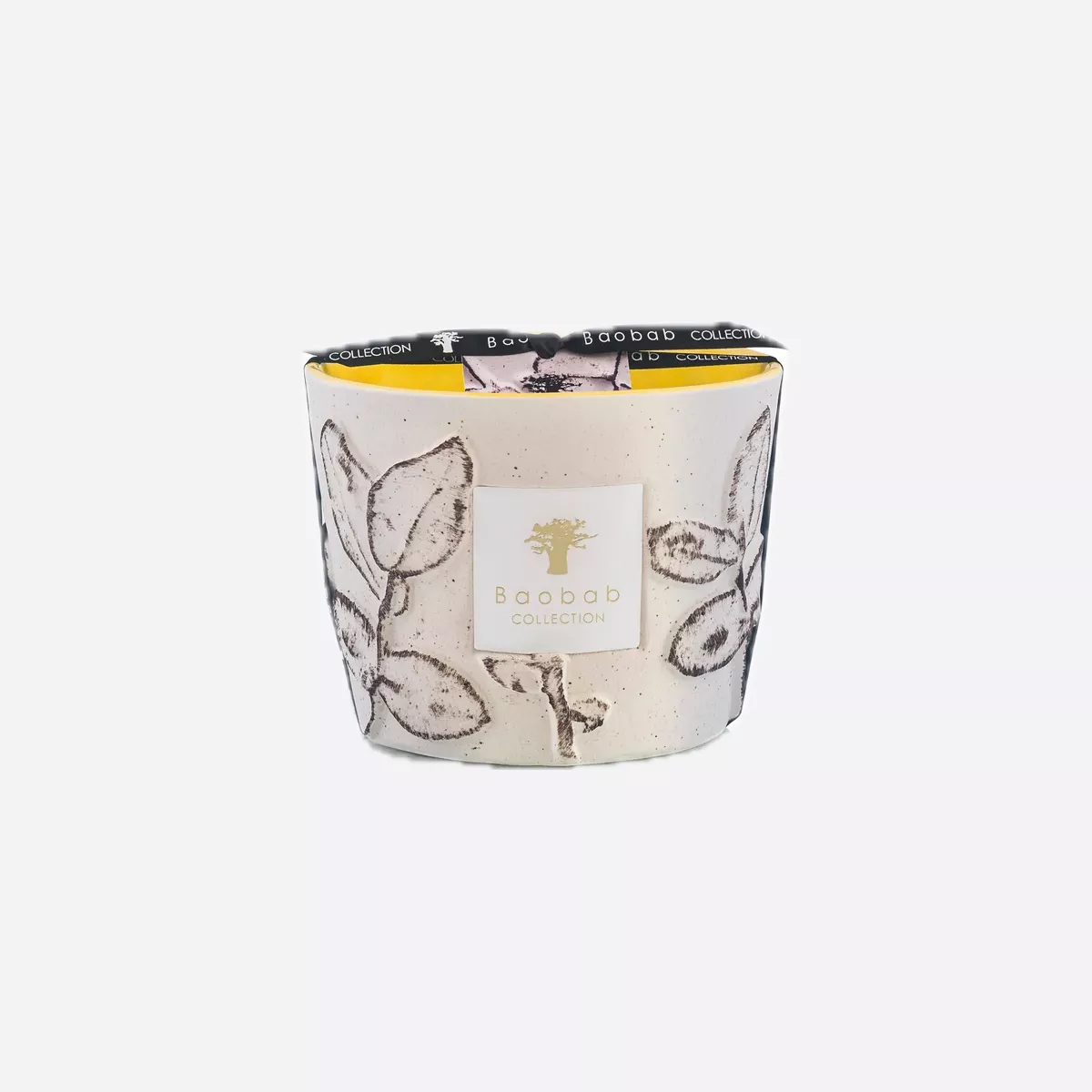 Baobab Collection MAX10FCAL MAX16SSIcreme