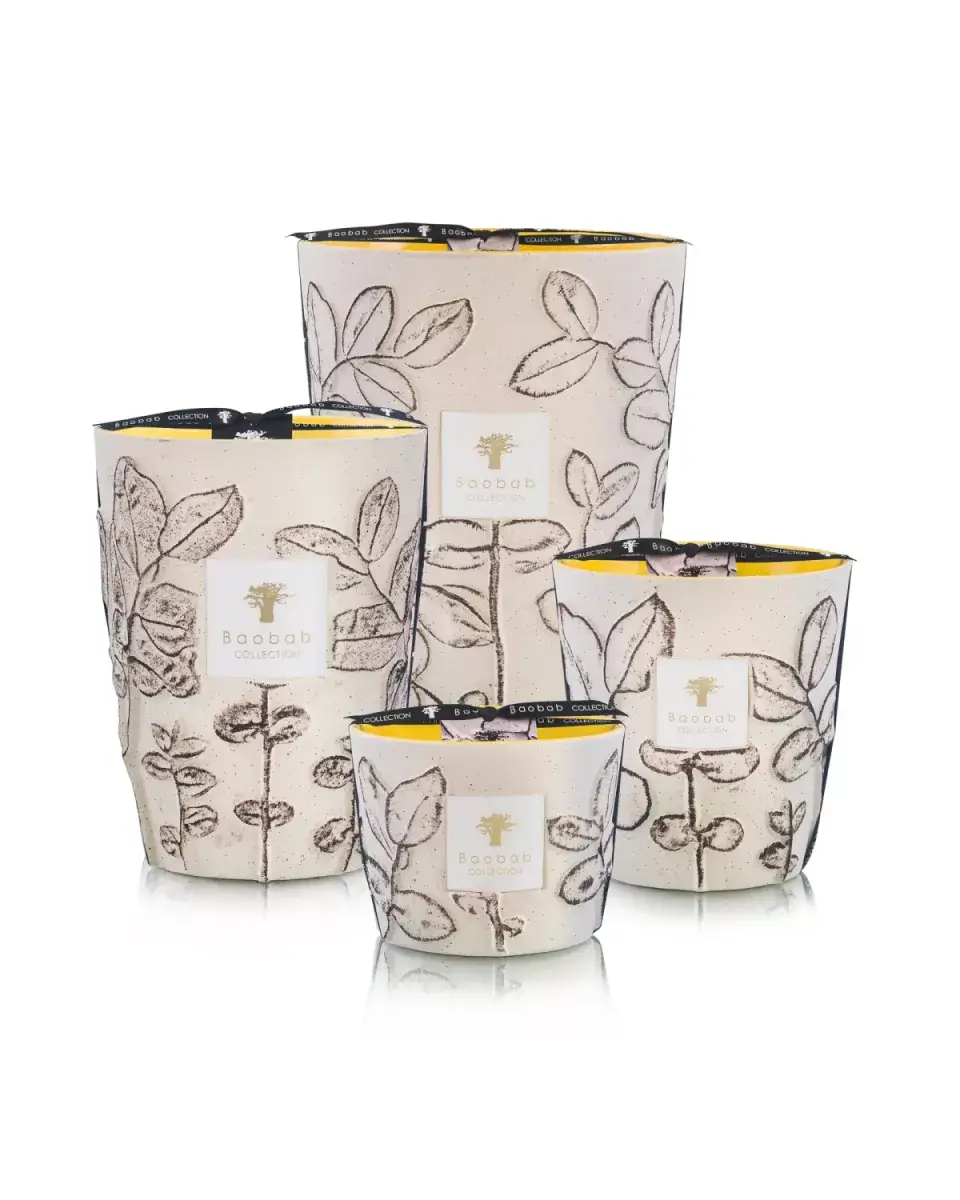 Baobab Collection MAX16FCAL MAX16SSIcreme